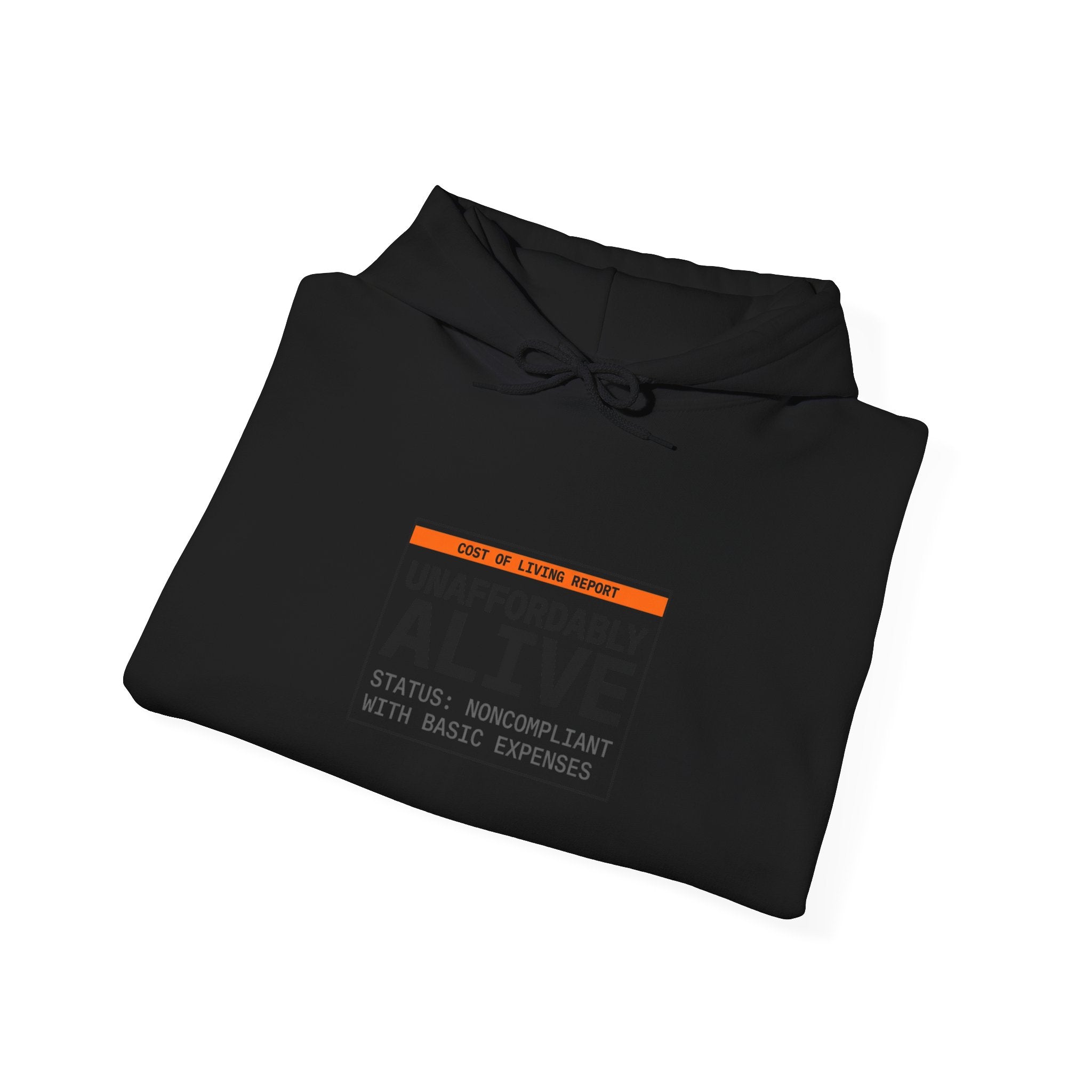 Unaffordably Alive Hoodie | cost of living crisis, budget humor