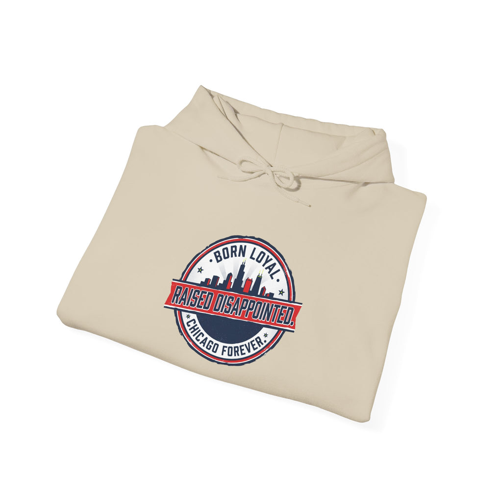 Hometown Basketball Pride Hoodie | rivalry humor, playoffs