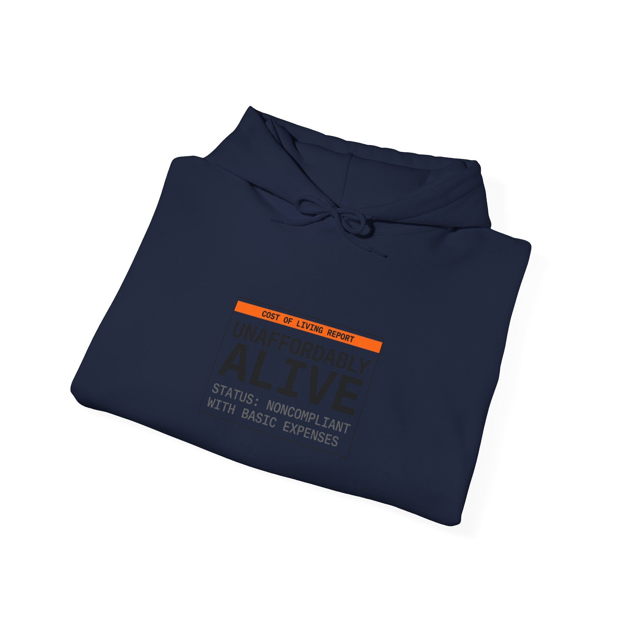 Unaffordably Alive Hoodie | cost of living crisis, budget humor