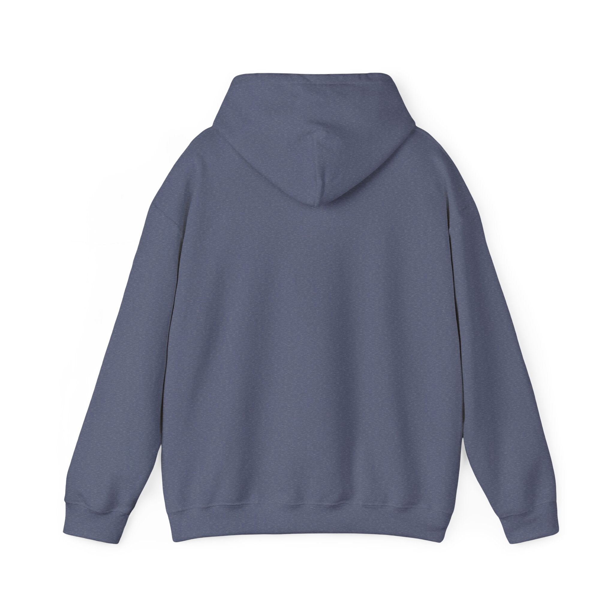 Hooded Sweatshirt My Momma Said I Was Just in The Pretty Room