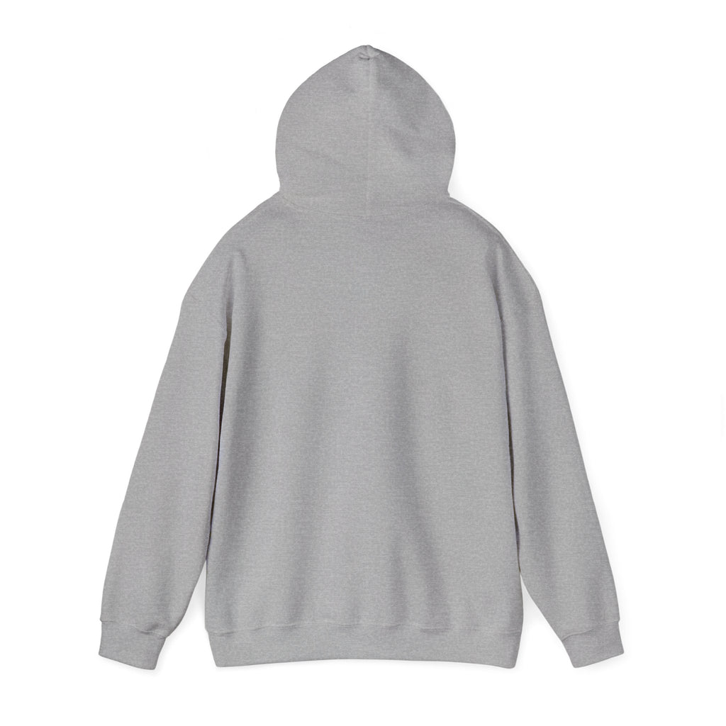 Hometown Basketball Pride Hoodie | rivalry humor, playoffs
