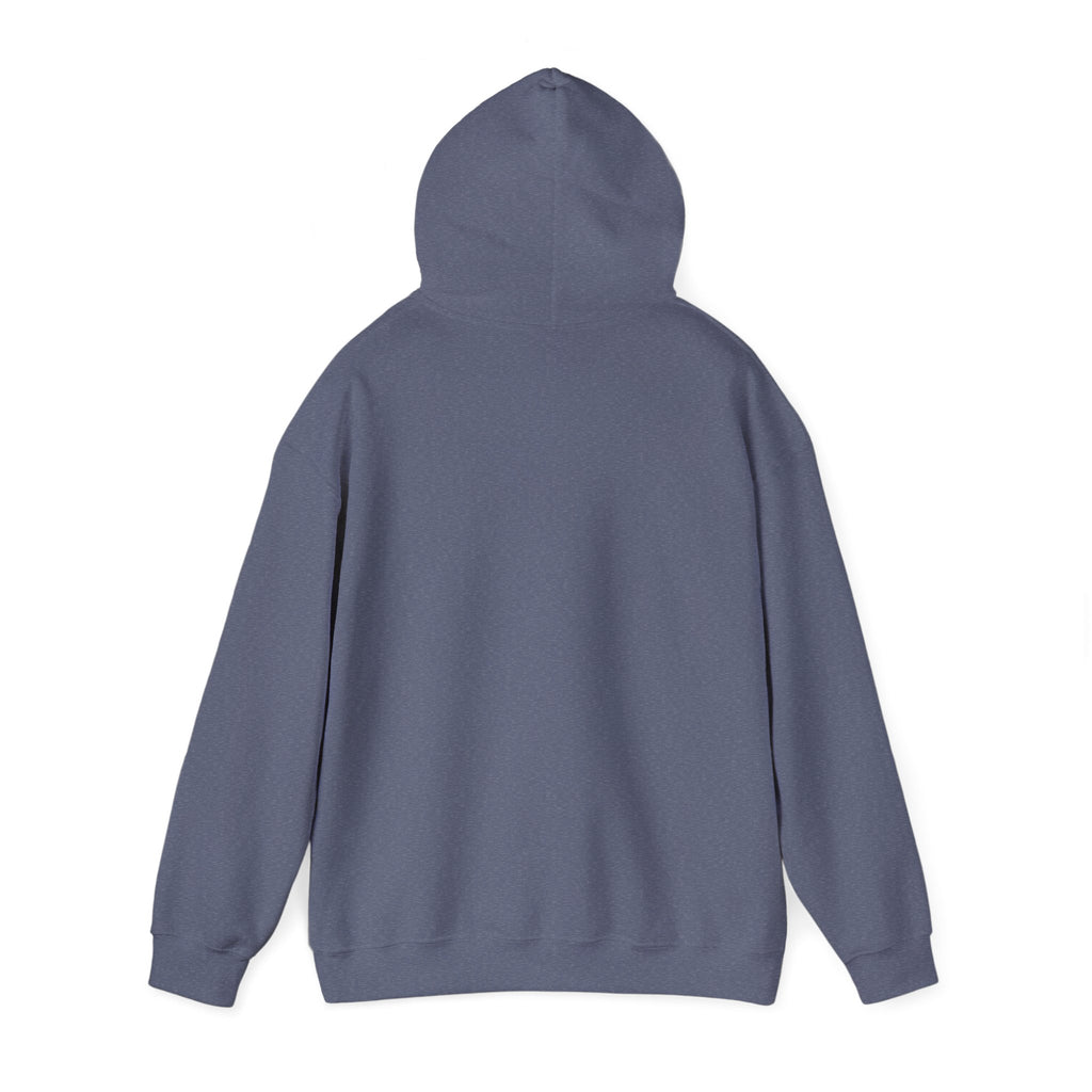 Hooded Sweatshirt My Momma Said I Was Just in The Pretty Room