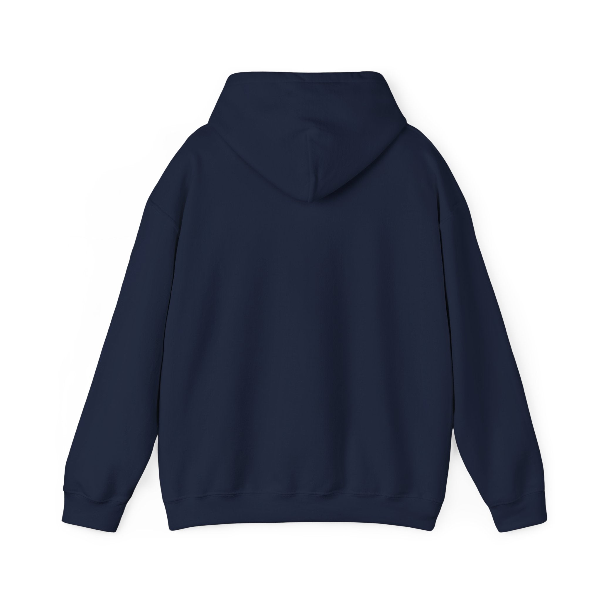 Hometown Basketball Pride Hoodie | rivalry humor, playoffs